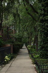 Beautiful Sidewalk