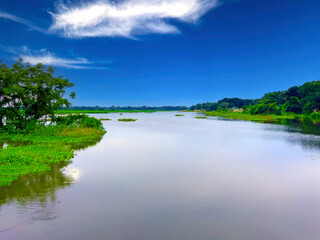 Obraz premium Wide River View with Blue Sky and Green Natural Landscape