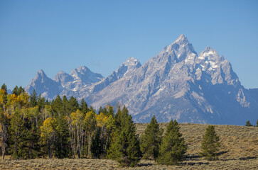 Fototapeta premium Beautiful Scenic Landscape in Grand Teton National Park Wyoming in Autumn