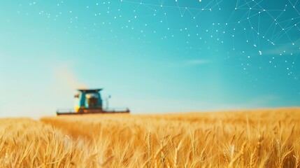 Fototapeta premium Combine harvester working in a golden wheat field under a starry sky