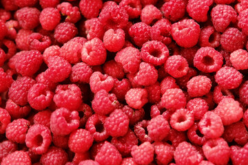 Sweet raspberry background. Full frame of fresh raspberries. Red ripe berry photo wallpaper closeup. Juicy berries. Vegetarian, vegan raw food. Organic bio product. From farm to table. Fruit pattern