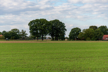 green field and blue sky