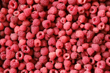 Sweet raspberry background. Full frame of fresh raspberries. Red ripe berry photo wallpaper closeup. Juicy berries. Vegetarian, vegan raw food. Organic bio product. From farm to table. Fruit pattern