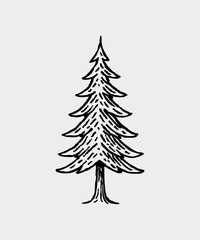 Hand drawn christmas illustration collection - Pine tree