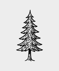 Fototapeta premium Hand drawn christmas illustration collection - Pine tree