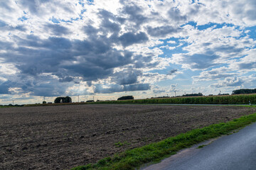 plowed field and blue sky