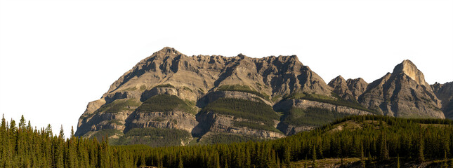 Panorama of large rocky mountain with forest in the foreground and a transparent sky
