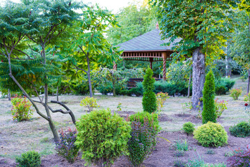 Garden landscape with gazebo in greenery. Lush garden features neatly trimmed bushes and a serene gazebo surrounded by vibrant foliage in daylight.