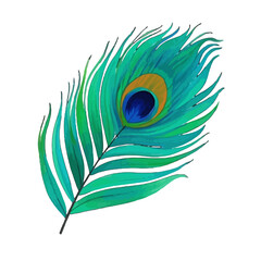 Obraz premium Vector art of a vibrant, detailed watercolor illustration of a single peacock feather, isolated on a transparent background, showcasing its iridescent blue and green hues and eyelike pattern