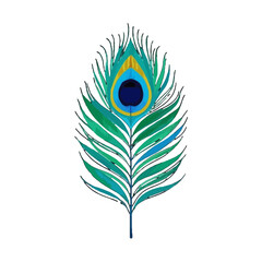 Obraz premium Vector art of a vibrant and detailed watercolor illustration of a single peacock feather, isolated on a transparent background, showcasing its intricate patterns and colors