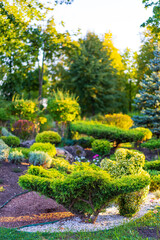 Sunset in a manicured garden. Colorful shrubs and neatly trimmed hedges create a vibrant garden setting during golden hour in spring. Modern landscape design