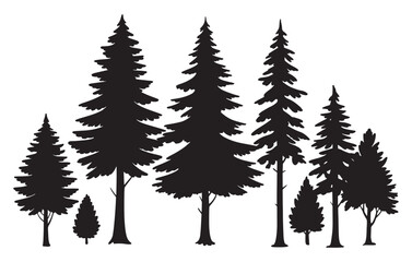 Fototapeta premium Diverse evergreen forest silhouette collection natural woodland scene for nature projects white background