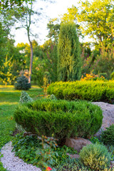 Tranquil green garden scene. Vibrant shrubs and plants create a serene atmosphere in a beautifully manicured garden during golden hour. Modern landscape design