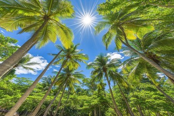 Fototapeta premium Tropical palms reaching for a bright sun