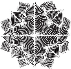 Fototapeta premium black and white floral pattern