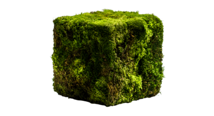Moss covered cube