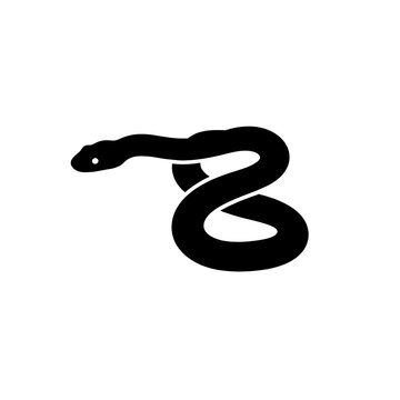 black and white snake