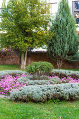 Obraz premium Park with vibrant flowers and plants. Vibrant pink flowers bloom among lush greenery in a well-maintained park during daylight. Modern landscape design