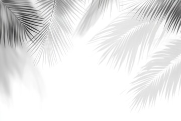 Palm leaf shadows on white background (2)