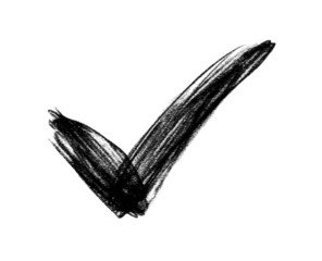 Brushstroke checkmark, black and white