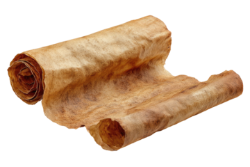 Rolled-up parchment scroll, light brown, aged appearance