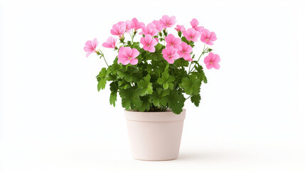 Beautiful pink flowers in white pot create vibrant and cheerful atmosphere, perfect for home decor or gardening enthusiasts