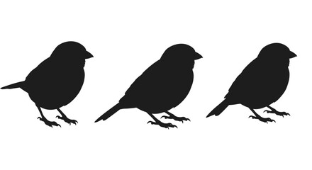 Three small black bird silhouettes standing side by side on a white background