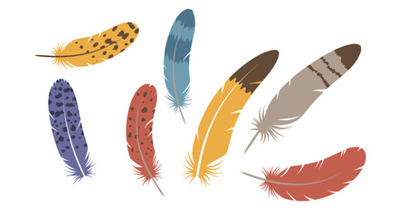 Collection of seven colorful and textured bird feathers scattered against a white background