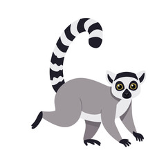 Cute cartoon ring tailed lemur with distinctive black and white striped tail on a white background