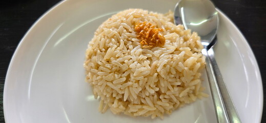 Steamed rice topped with fried garlic. Jasmine rice cooked with chicken oil, spices and broth makes rice oily, golden yellow, fragrant. Popularly eaten with boiled chicken or spicy papaya salad. 
