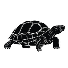 Black and white illustration of a turtle walking on a plain background