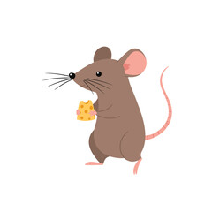 Adorable cartoon brown mouse holding a piece of yellow cheese with its paws on a white background