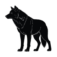 Black silhouette of a wolf standing on a white background