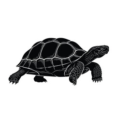 Black and white illustration of a turtle on a plain background