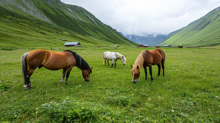 Obraz premium Horses grazing in lush green valley surrounded by mountains and cloudy skies create serene and natural landscape