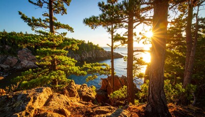Sunrise over a rocky coastline with pine trees
