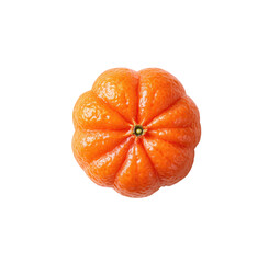 Close-up of a single, vibrant orange