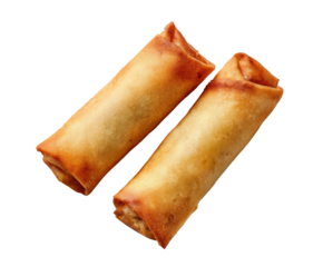 Two golden-brown spring rolls, crisply fried