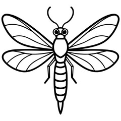 Dragonfly Wings Outlined Vector