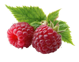 Two vibrant red raspberries, fresh and plump, sit atop lush green leaves
