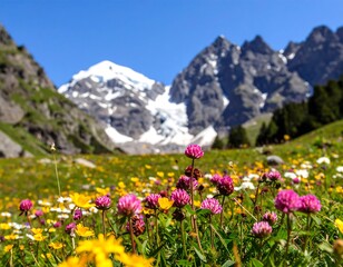 Obraz premium Colorful wildflowers bloom in a meadow at the foot of snowy mountains