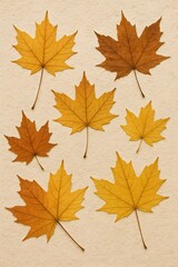 Obraz premium Collection of Autumn Maple Leaves, Yellow and Brown Foliage on Beige Paper, Flat Lay of Seasonal Maple Leaves
