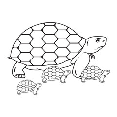 turtle illustration icon