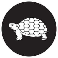 turtle illustration icon