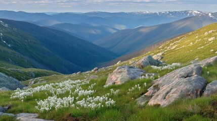 Expansive mountainous landscape with lush greenery, rocky outcrops, deep valleys,