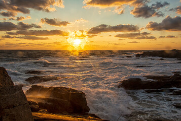 The Golden Dance of the Waves