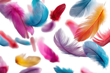 Vibrant feathers in flight