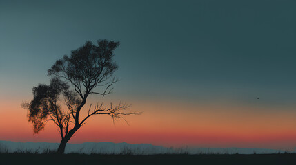 Silhouette tree against gradient sky