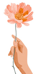 A hand holds a delicate, peach-and-orange poppy