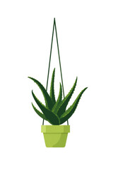 Hanging aloe plant in a light green pot.  Simple, stylized graphic